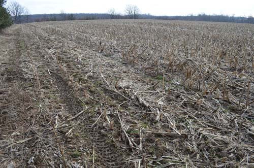 Property photo 75 - 98+/- Acres Offered in 6 Tracts or Combinations, Noble County, Indiana Farm